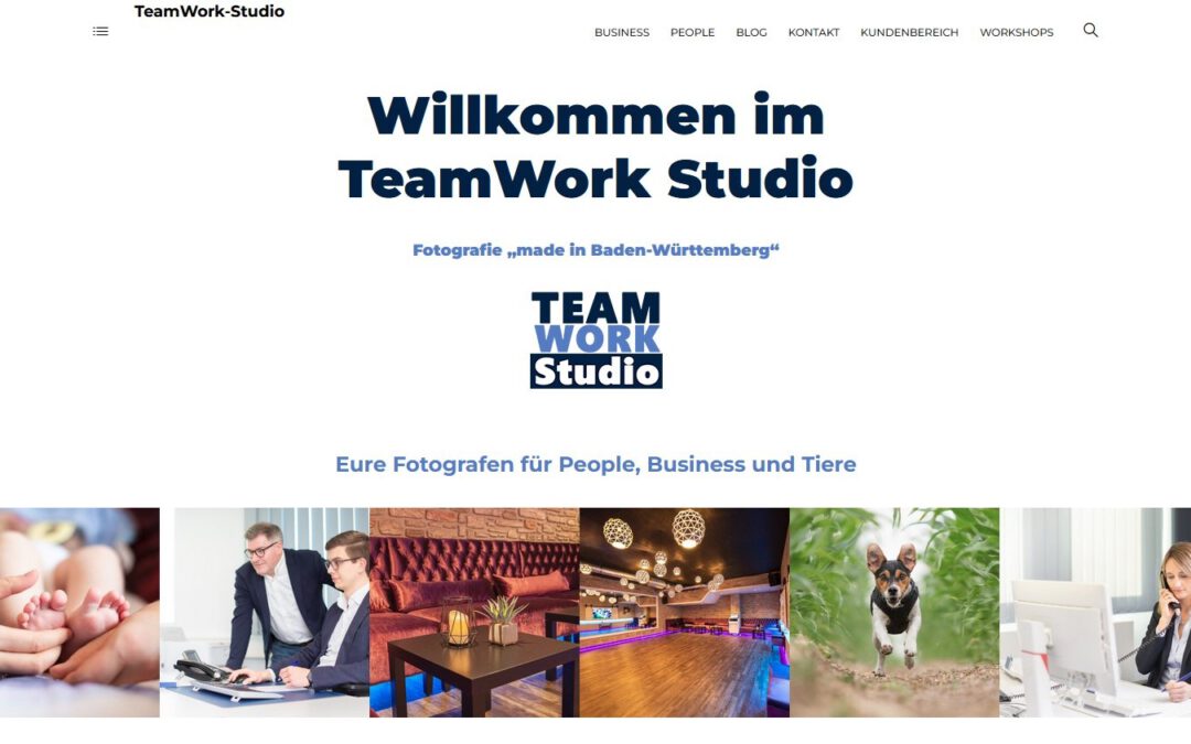Alte Webseite vom Teamwork Studio