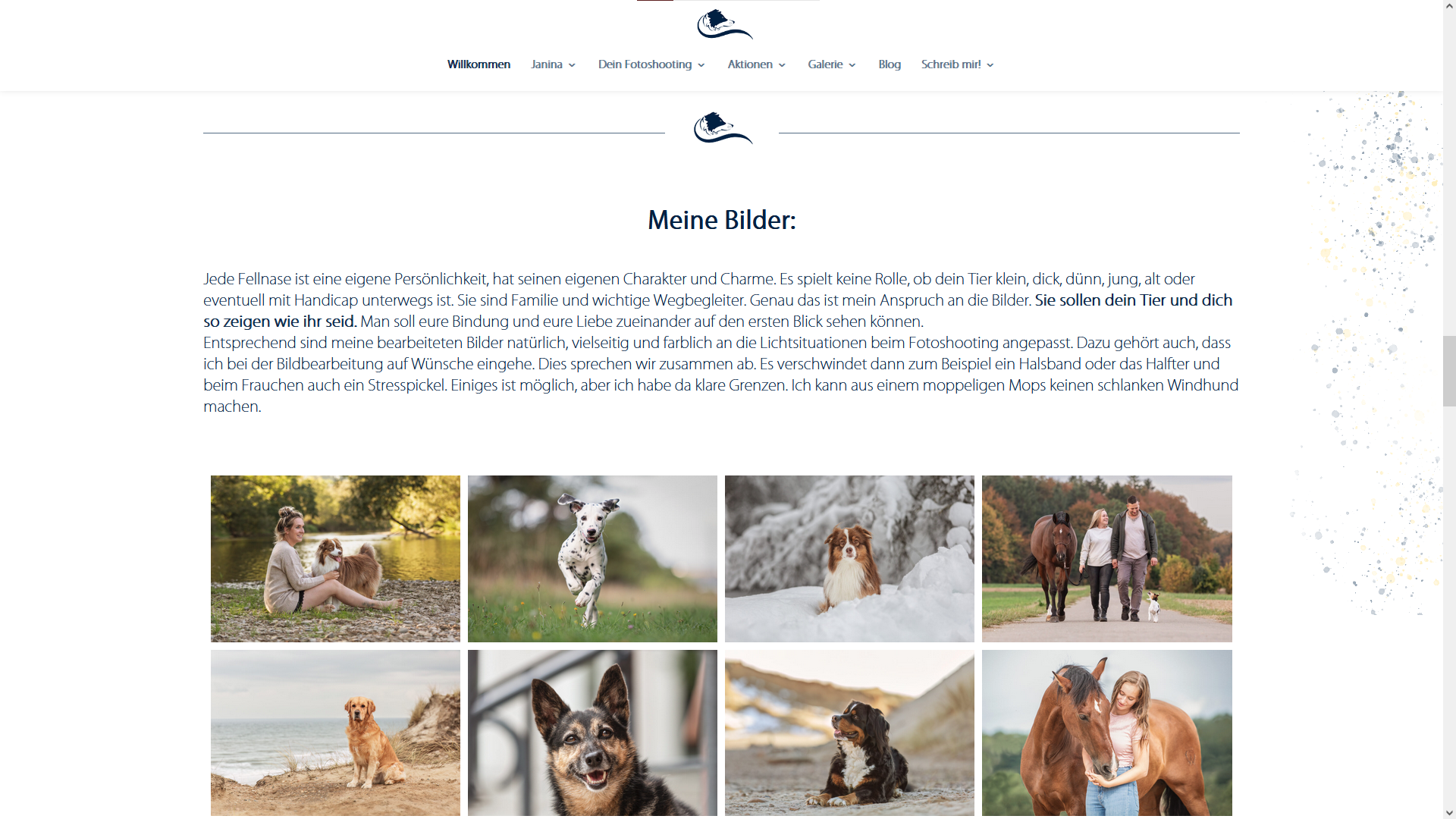 Webseite von Janina Eberle Tierfotografie